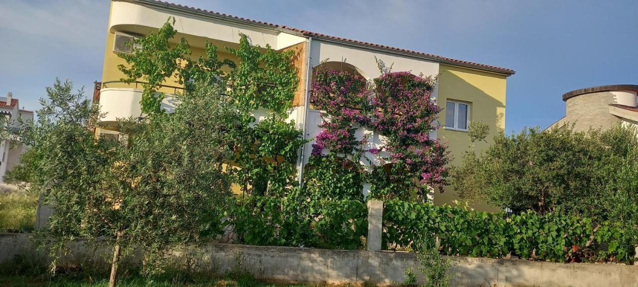Apartmani Vranjkovic Vodice Bagian luar foto